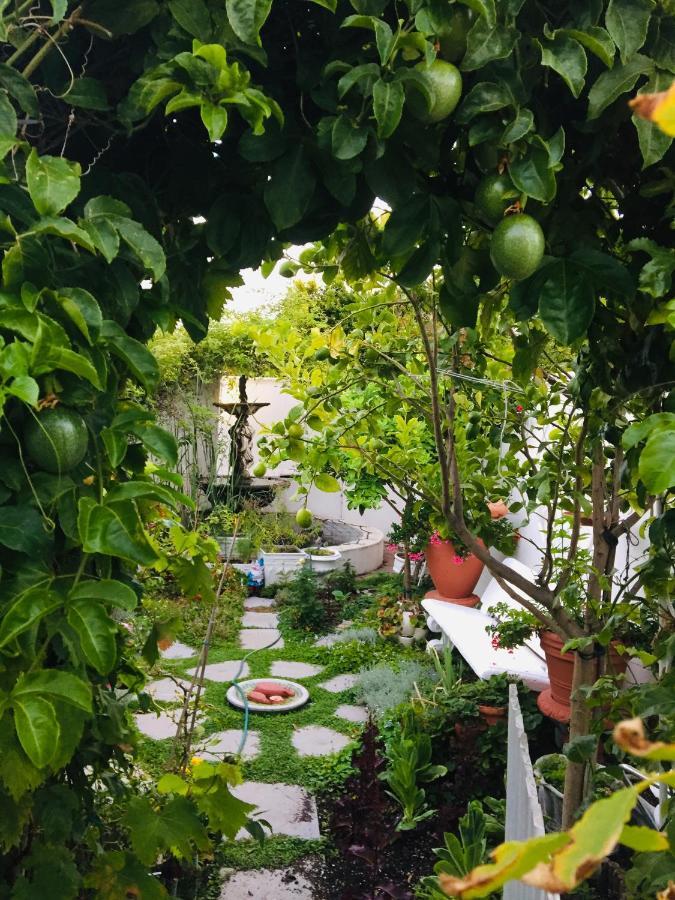 Our Hermanus House Luaran gambar